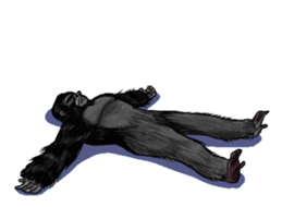 Gorilland sticker #663748