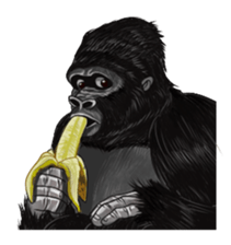 Gorilland sticker #663749