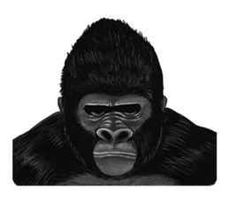 Gorilland sticker #663762