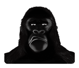 Gorilland sticker #663767