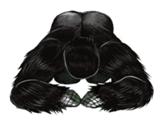 Gorilland sticker #663775