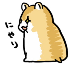 Positive hamsters sticker #664096