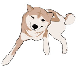 SHIBAWAKA sticker #665357