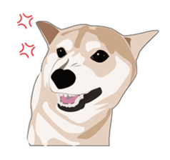 SHIBAWAKA sticker #665362