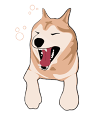 SHIBAWAKA sticker #665368