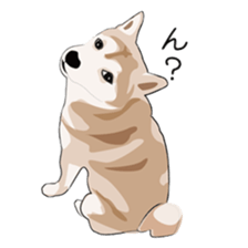 SHIBAWAKA sticker #665377