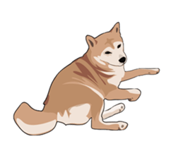 SHIBAWAKA sticker #665378