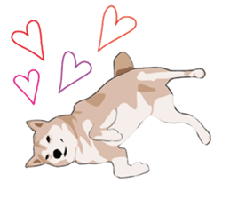 SHIBAWAKA sticker #665382