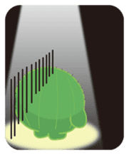 "Sabo" and "Ten" sticker #666498