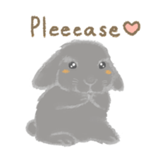 Hold! Rabbits (English) sticker #667994