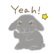 Hold! Rabbits (English) sticker #667997