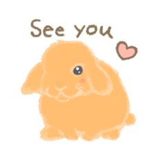 Hold! Rabbits (English) sticker #668002