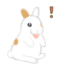 Hold! Rabbits (English) sticker #668007