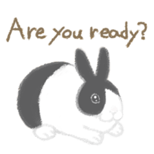 Hold! Rabbits (English) sticker #668010