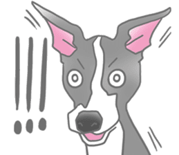 My Italian greyhound sticker #669432