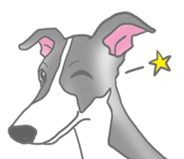 My Italian greyhound sticker #669435