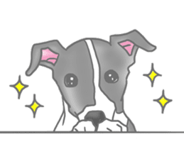 My Italian greyhound sticker #669445