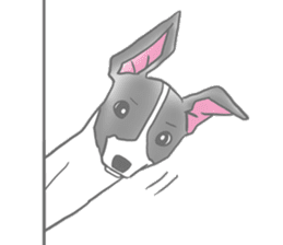My Italian greyhound sticker #669446