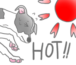 My Italian greyhound sticker #669453