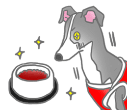 My Italian greyhound sticker #669454