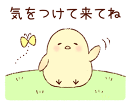 A chick goes out sticker #669762