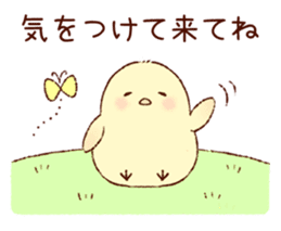 A chick goes out sticker #669762