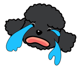 Naughty Cute Poodles! sticker #670202