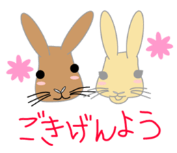 Peco of a rabbit sticker #670667