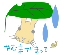 Peco of a rabbit sticker #670669