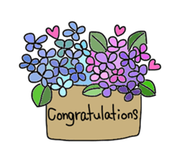 Kiwi sticker #674390