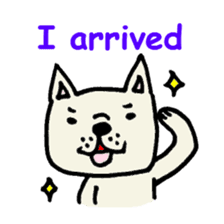 French bulldog's message sticker. sticker #677116