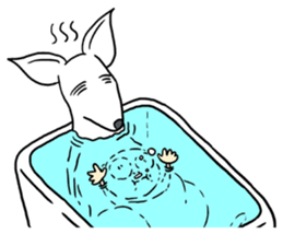 Kangaroo & Old guy sticker #680030