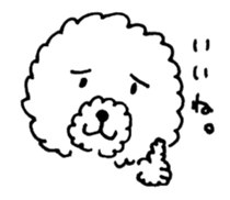 BUNAPI -Toy Poodle- sticker #680113