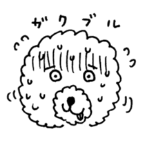 BUNAPI -Toy Poodle- sticker #680115