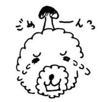 BUNAPI -Toy Poodle- sticker #680126
