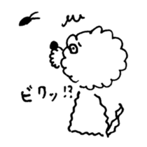 BUNAPI -Toy Poodle- sticker #680139