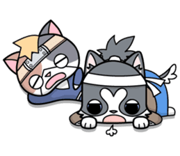 NINJA kitty & SAMURAI puppy sticker #680704
