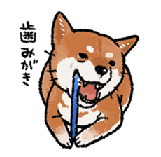 Fuji Shiba Inu sticker #685077