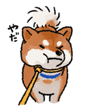 Fuji Shiba Inu sticker #685097