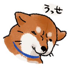 Fuji Shiba Inu sticker #685099