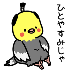 Topknot cockatiel