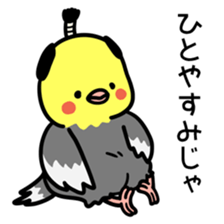 Topknot cockatiel sticker #686426