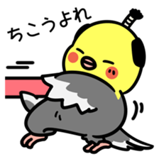 Topknot cockatiel sticker #686433