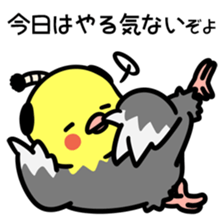 Topknot cockatiel sticker #686441