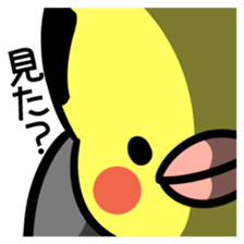 Topknot cockatiel sticker #686449