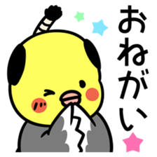 Topknot cockatiel sticker #686454