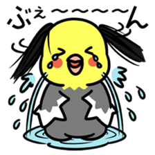 Topknot cockatiel sticker #686457