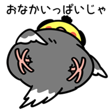 Topknot cockatiel sticker #686460