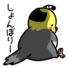 Topknot cockatiel sticker #686464