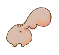 Cawaii-squirrel sticker #687158